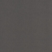 RS1006N [A]