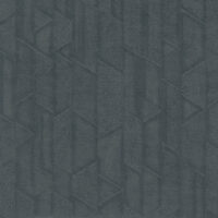 RS1029 [C]