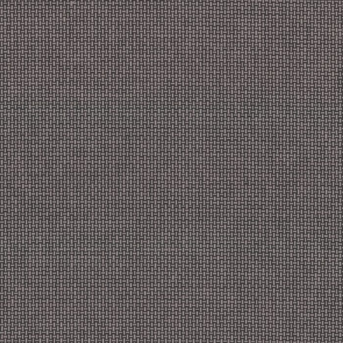 TL1901 [D]