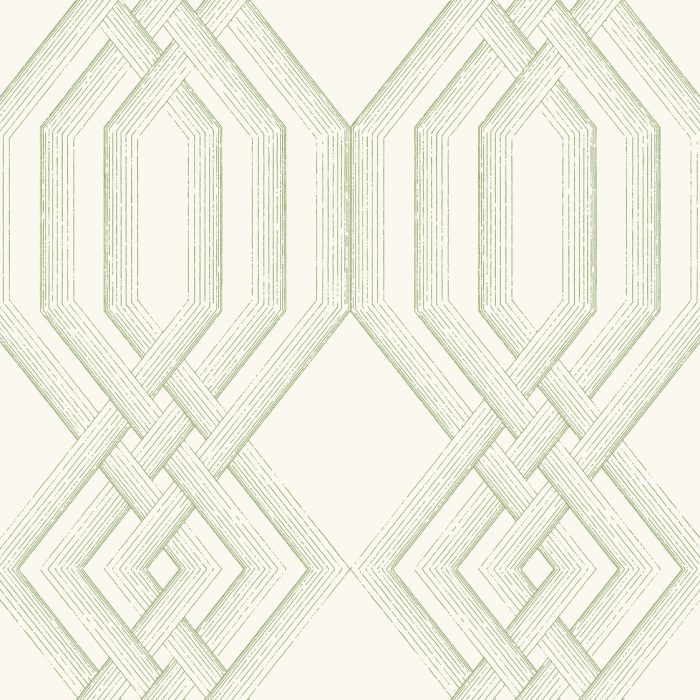 TL1913 [B]