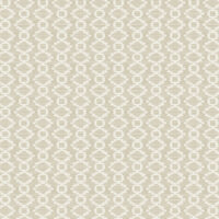 TL1981 [C]