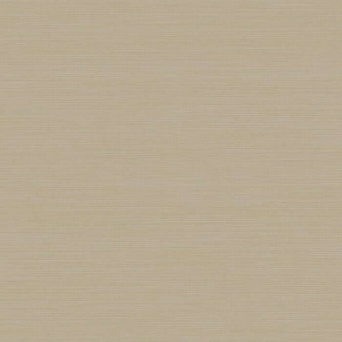 Y6200906 [B]