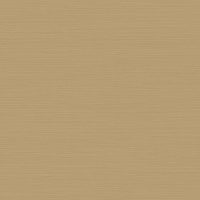 Y6200910 [B]