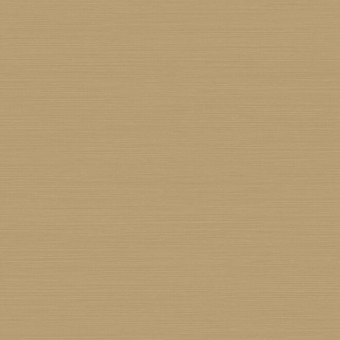 Y6200910(R) [B]