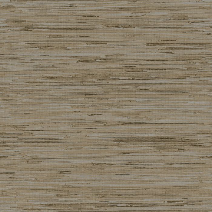 Y6201604 [B]