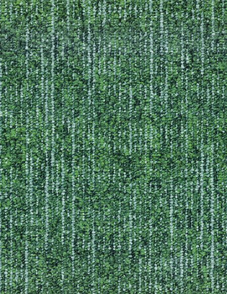 BALANCE 617 MOSS