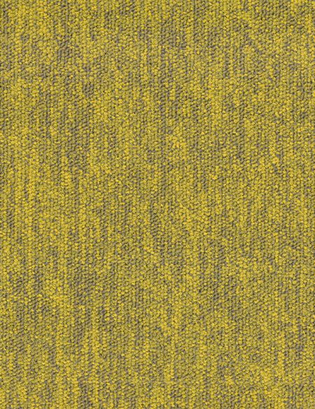 TRADITION 205 MUSTARD
