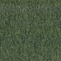 TRADITION 615 FOREST