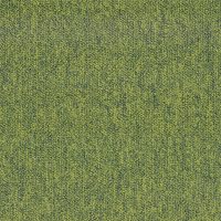 TRADITION 620 GRASS