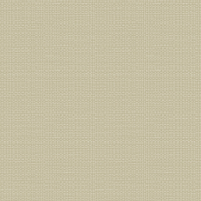 24921(R)