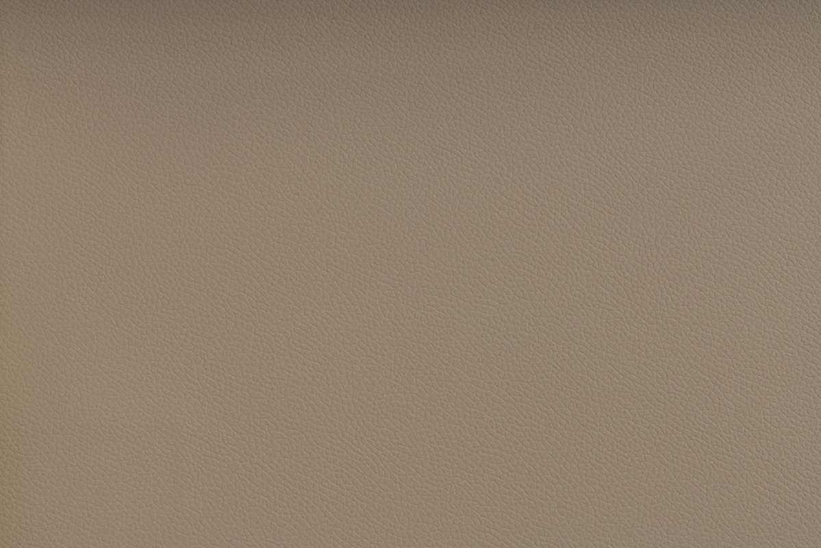 AVA-0004