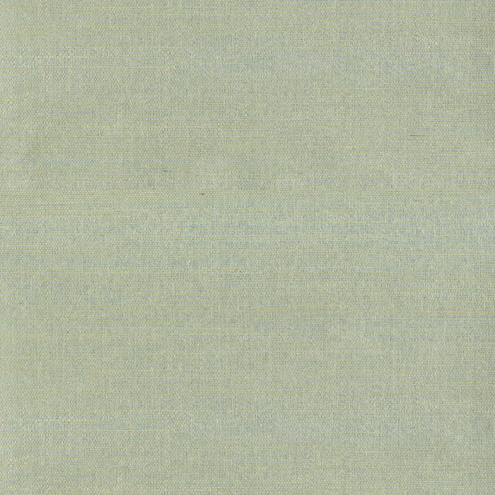 303509