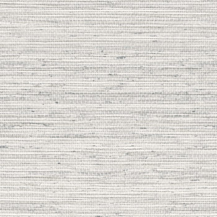 JC31300