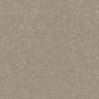 554519