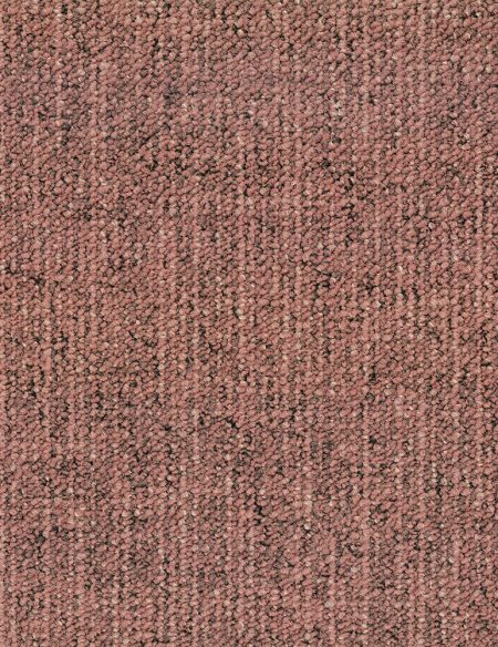 CANVAS 310 SIENNA