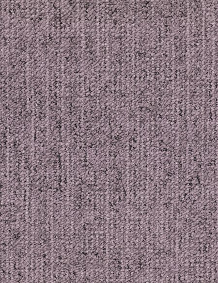 CANVAS 415 LILAC