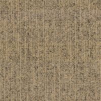 CANVAS 815 OLIVE