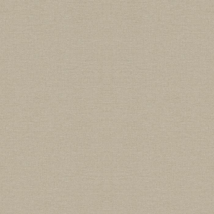 295558(R)