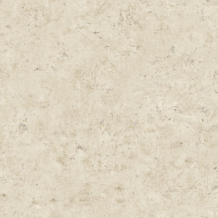 JP10205
