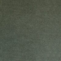313556