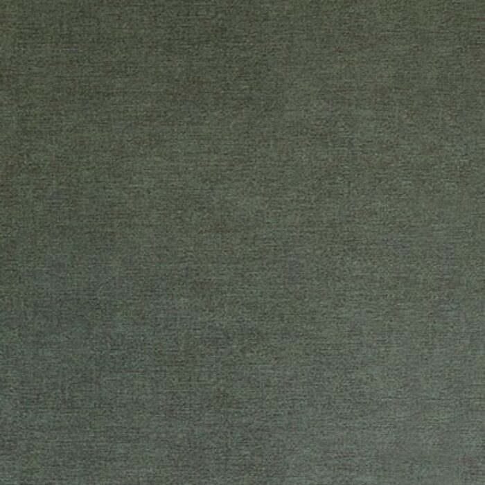 313556
