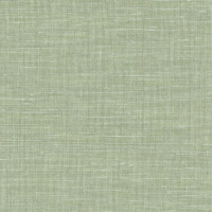 LINO91660420