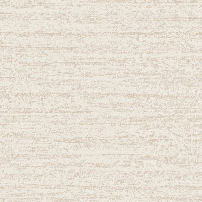 HPP504