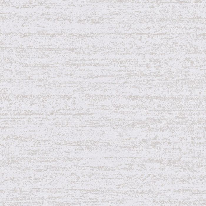 HPP509