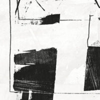 T2-SS-01