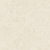 TS86205