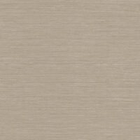 TS87005