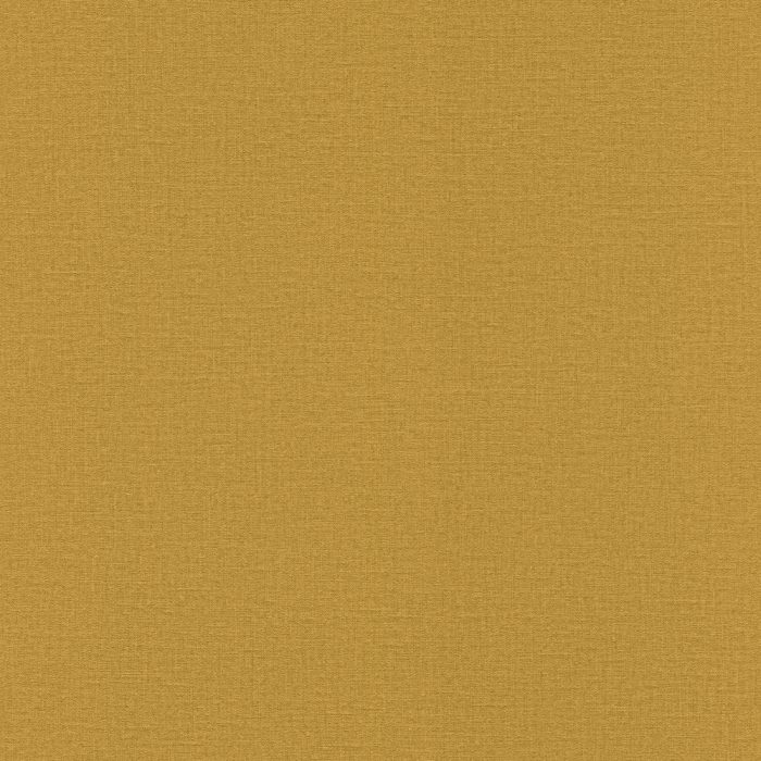 555929