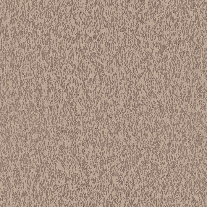 CAS31