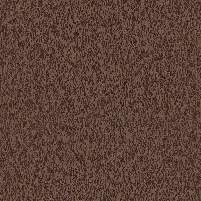 CAS32