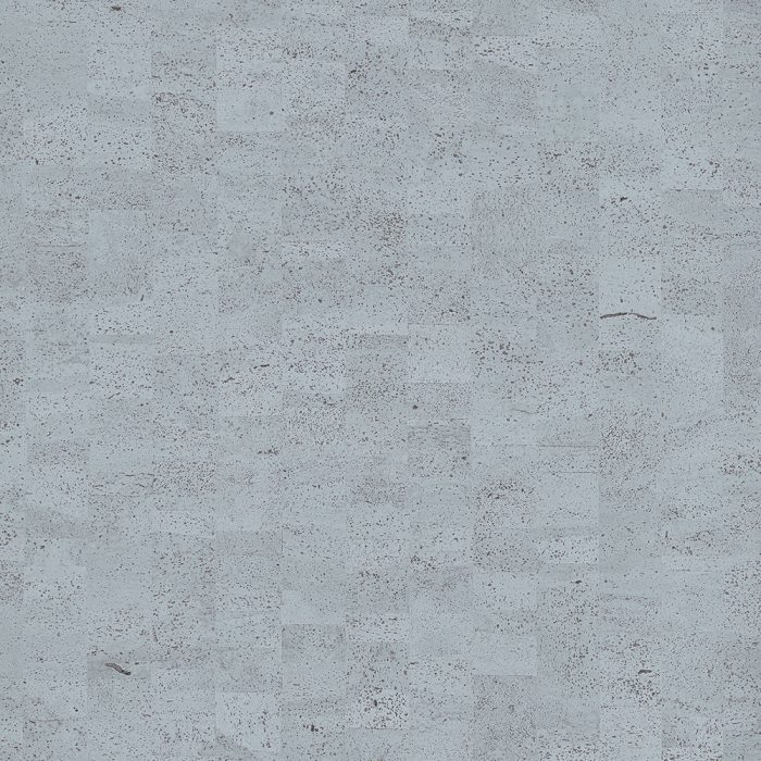 CAS41