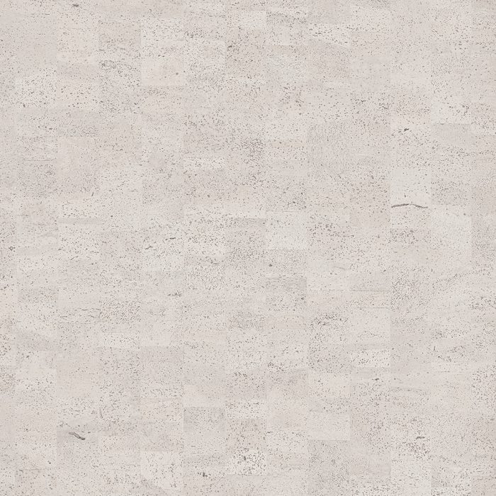 CAS42