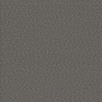 LS606