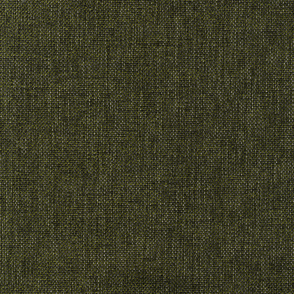 DROM-FR 31
