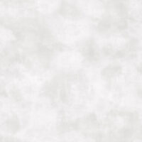 20731(R)