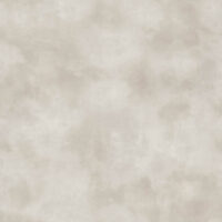 20733(R)