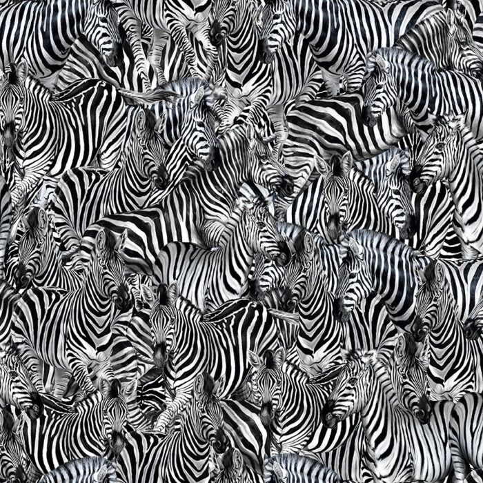 TCW013TCAHJUZ011