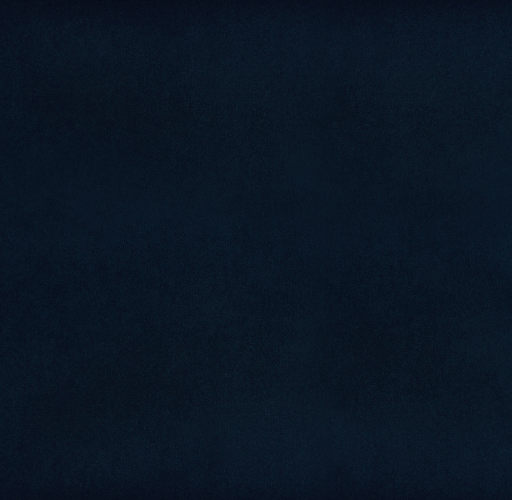 8001-INSIGNIA BLUE