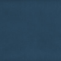 8015-LEGION BLUE