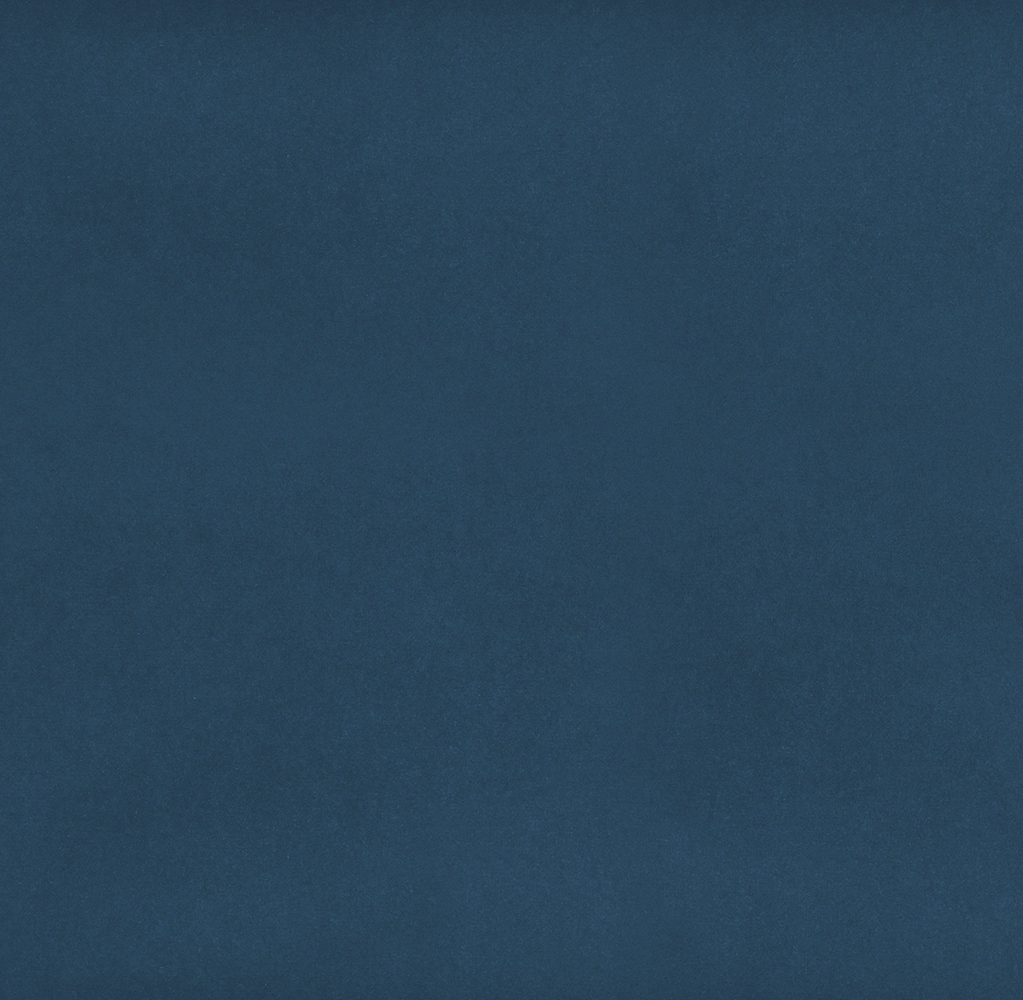 8015-LEGION BLUE