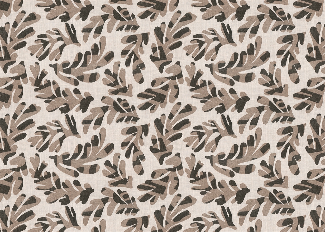 ARALIA – BIRCH