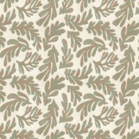 ARALIA - GREEN BAY