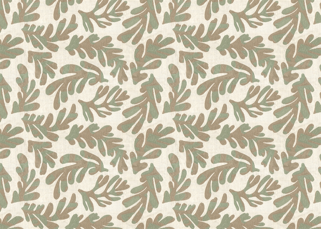 ARALIA – GREEN BAY
