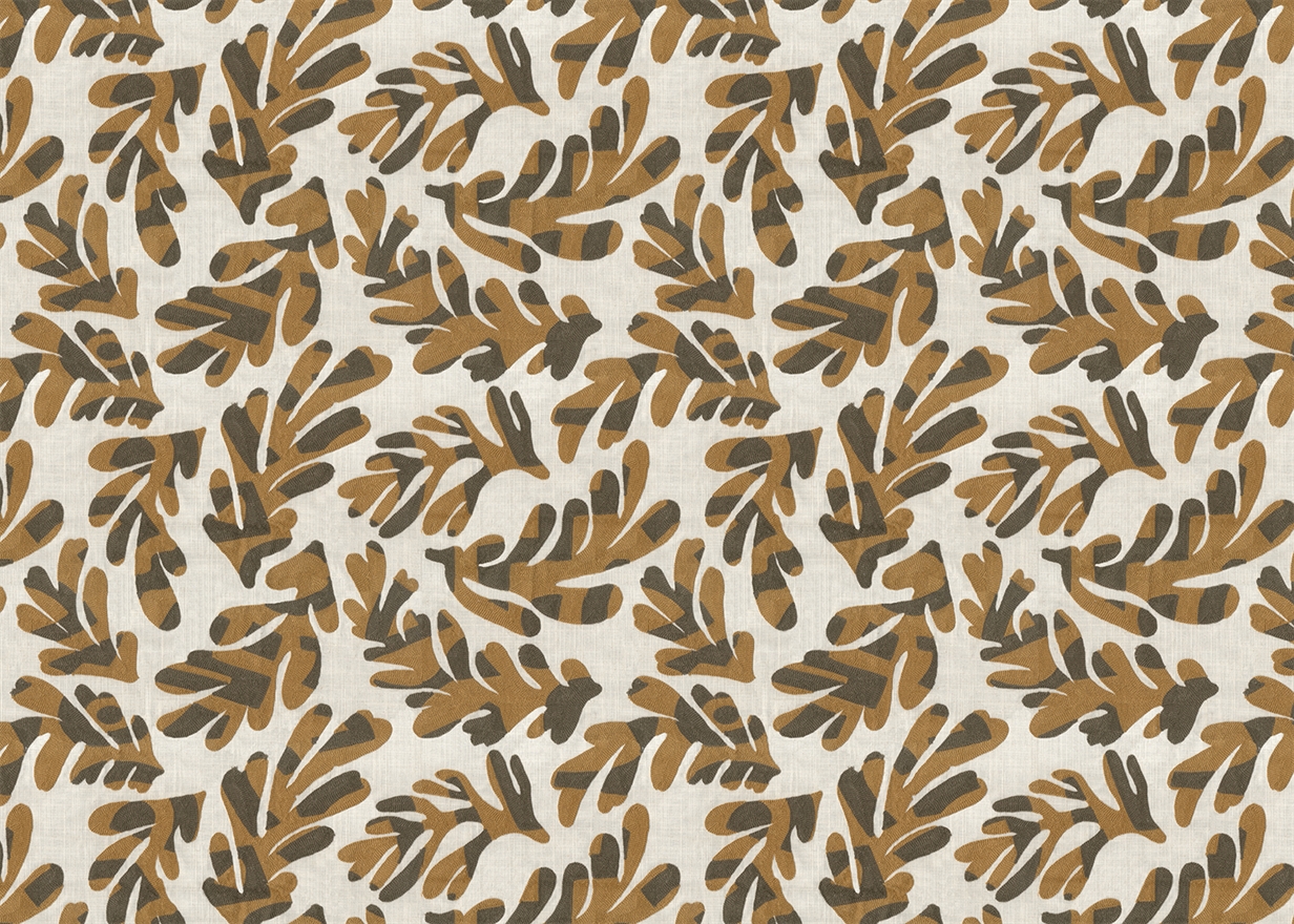 ARALIA – OCHRE