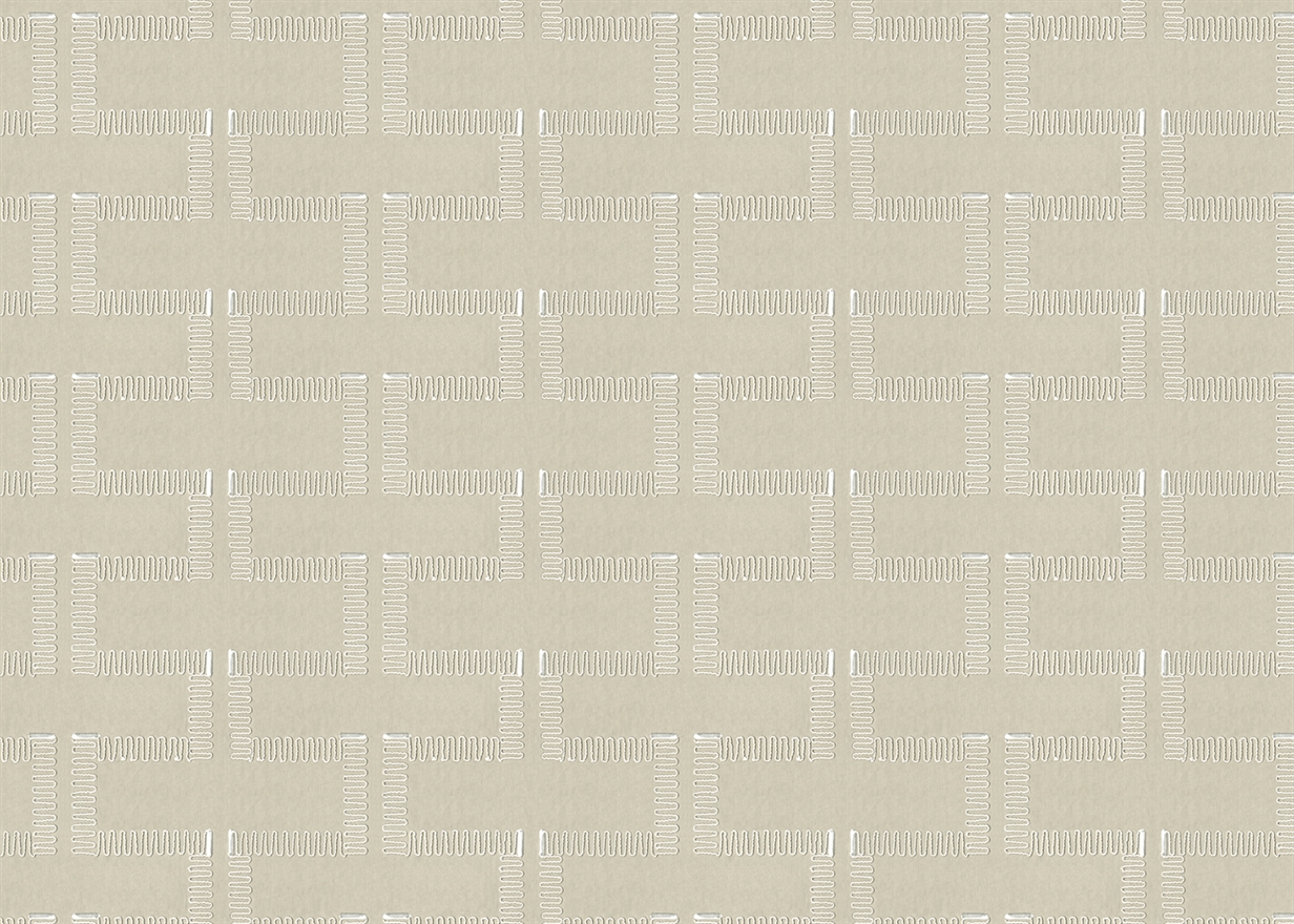 ORBIT – BIRCH