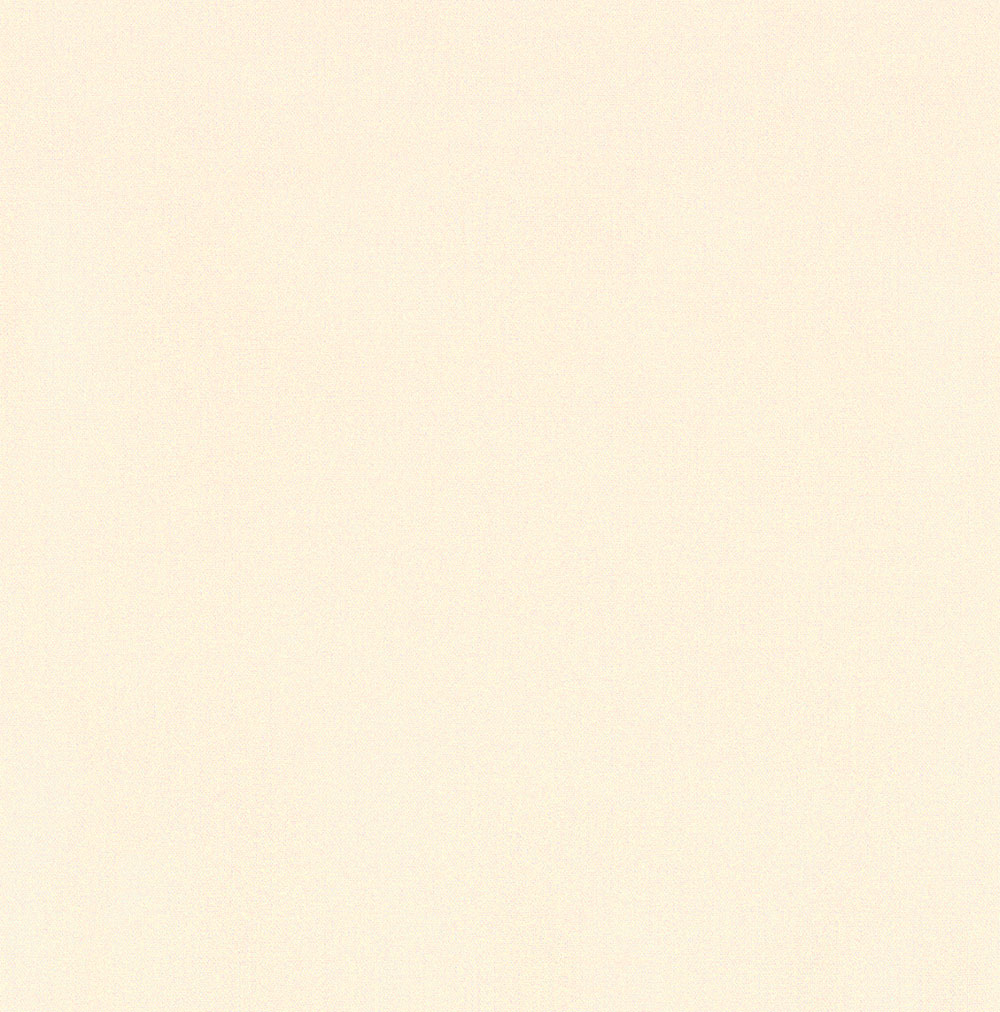 5006-BISCOTTI